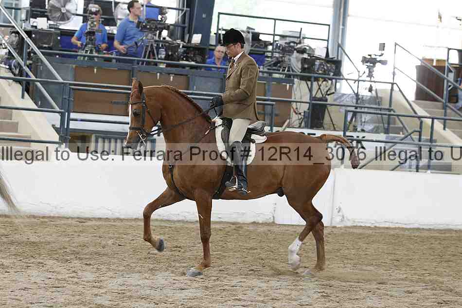 Proof Number 12r14_3076