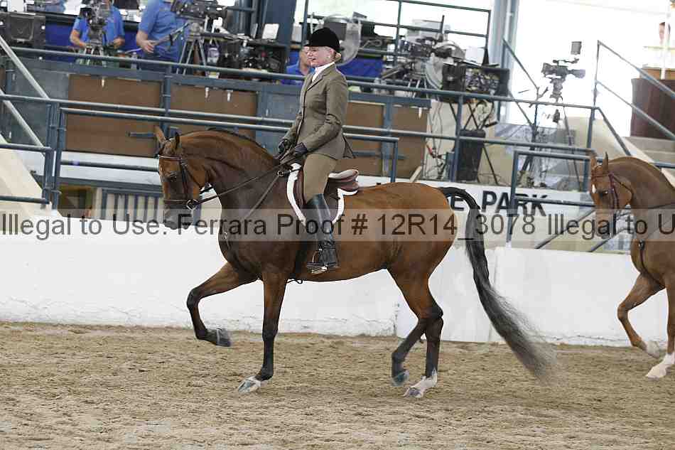 Proof Number 12r14_3078