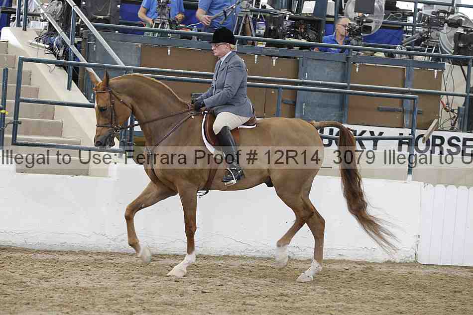 Proof Number 12r14_3079