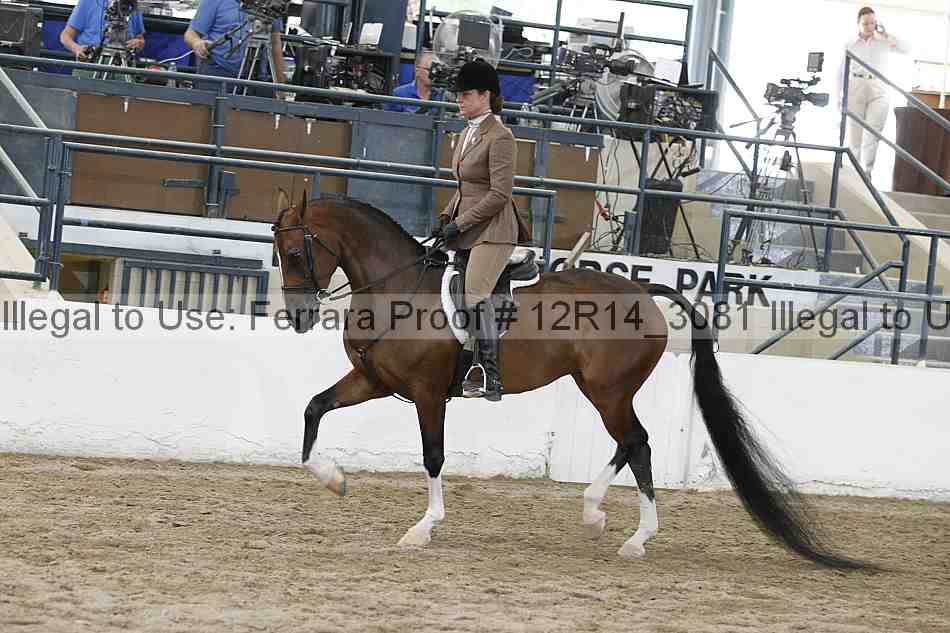 Proof Number 12r14_3081