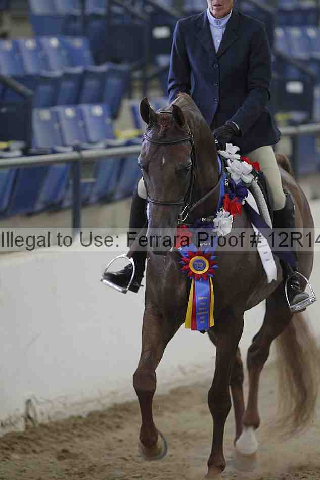 Proof Number 12r14_3133