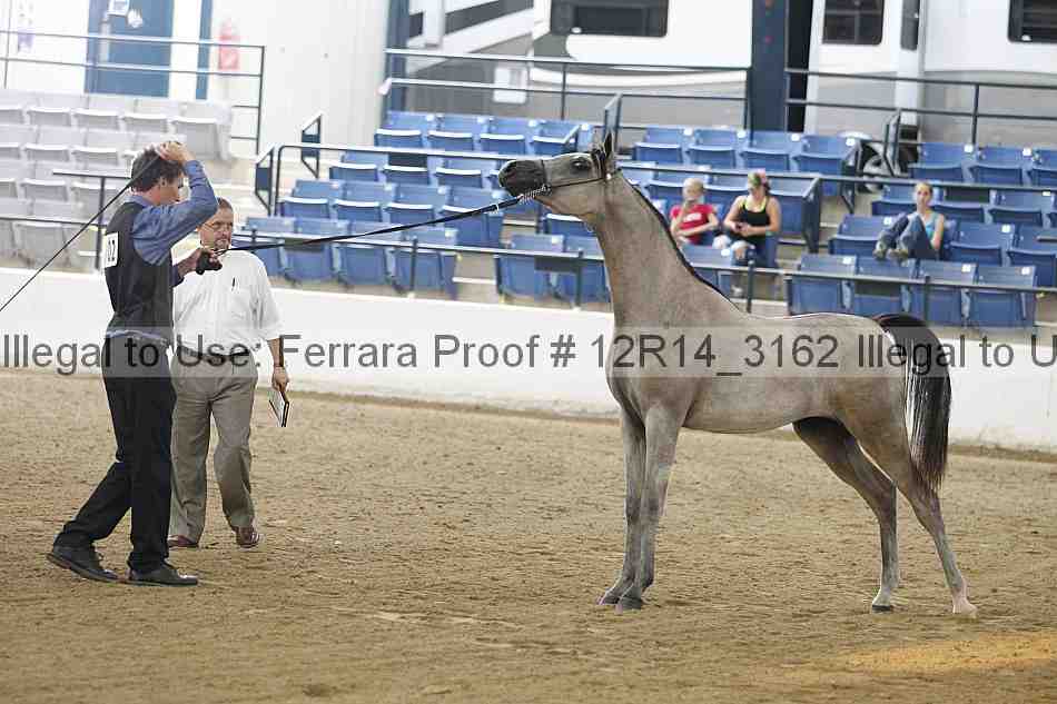 Proof Number 12r14_3162