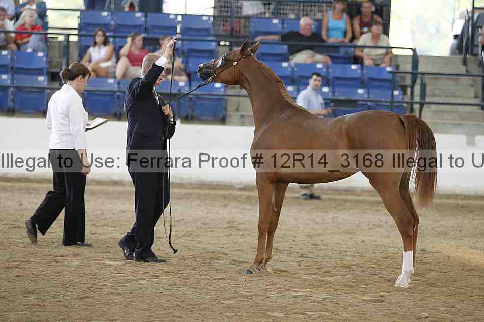 Proof Number 12r14_3168