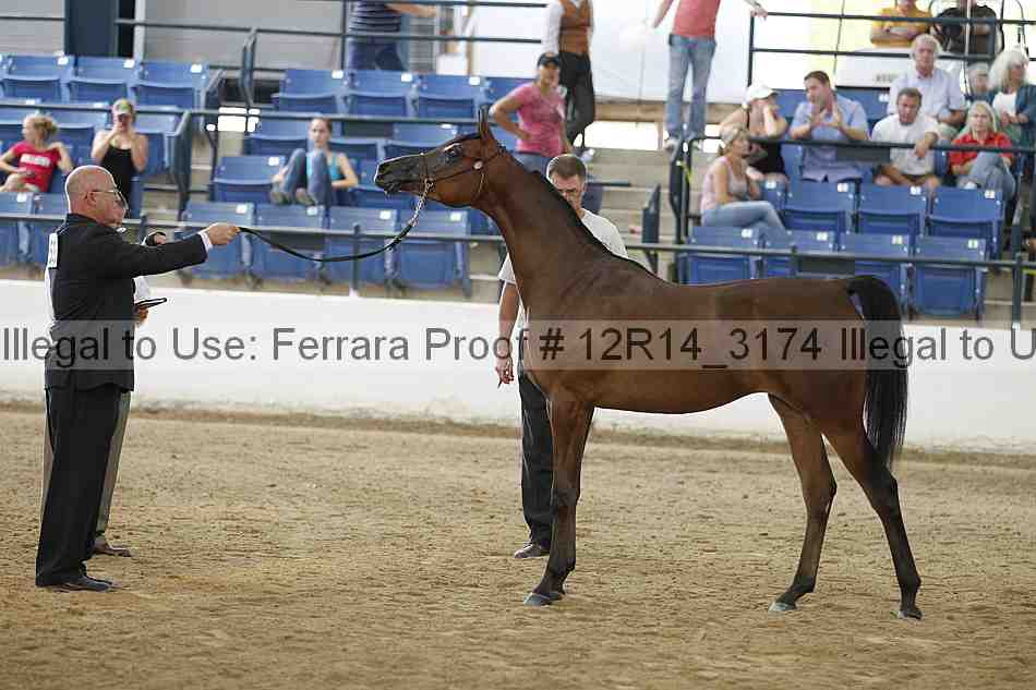 Proof Number 12r14_3174