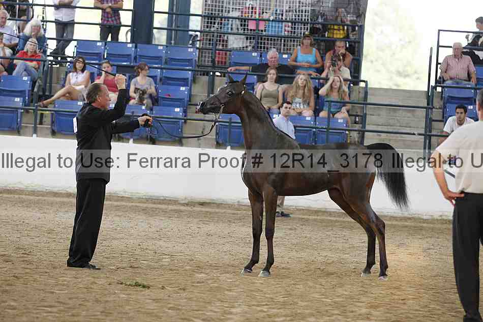 Proof Number 12r14_3178