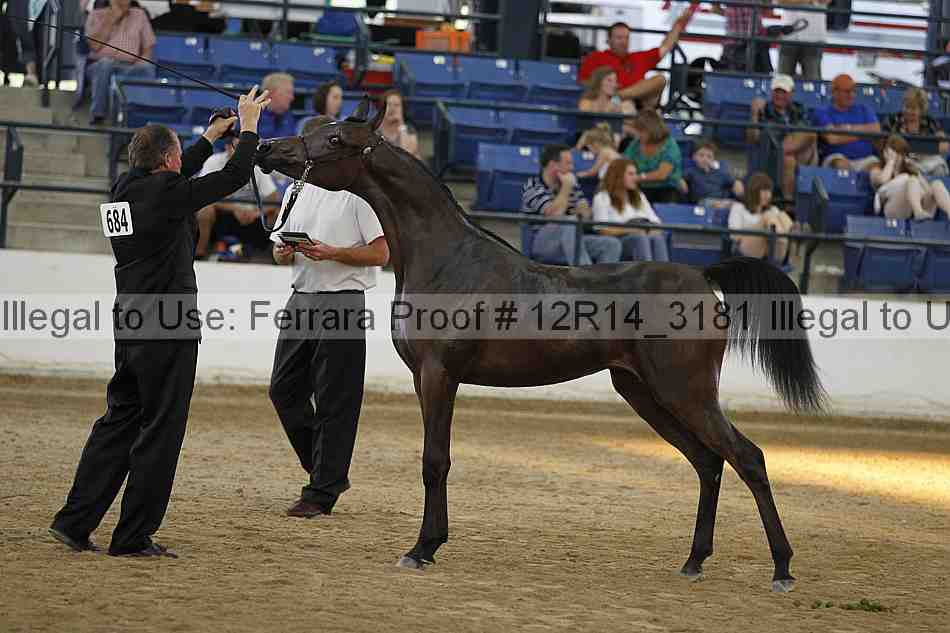 Proof Number 12r14_3181