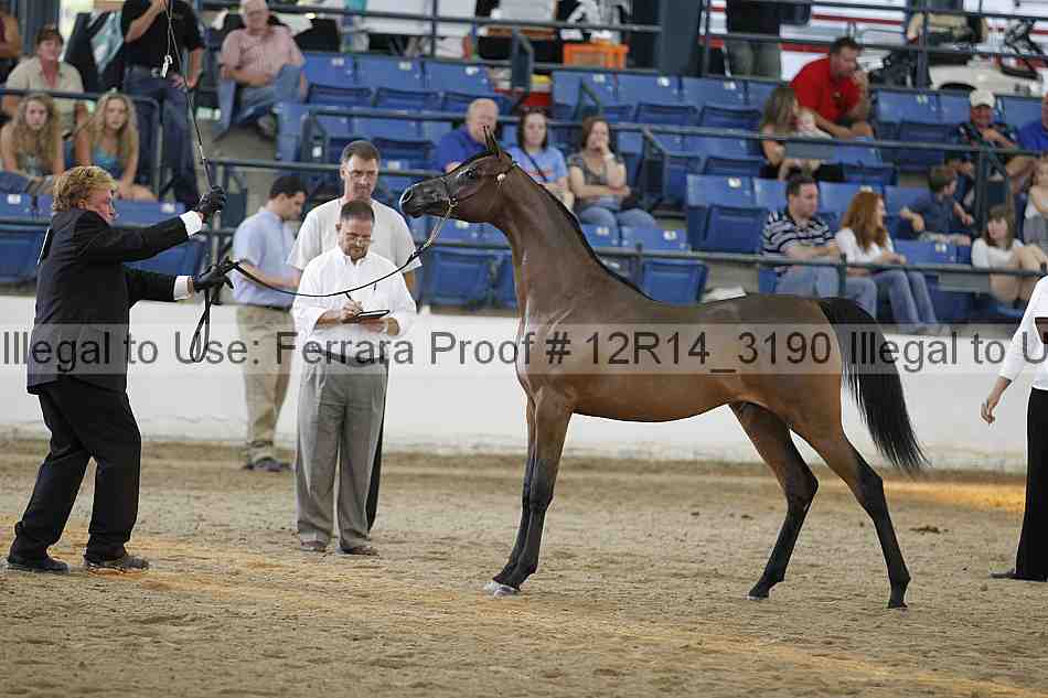Proof Number 12r14_3190