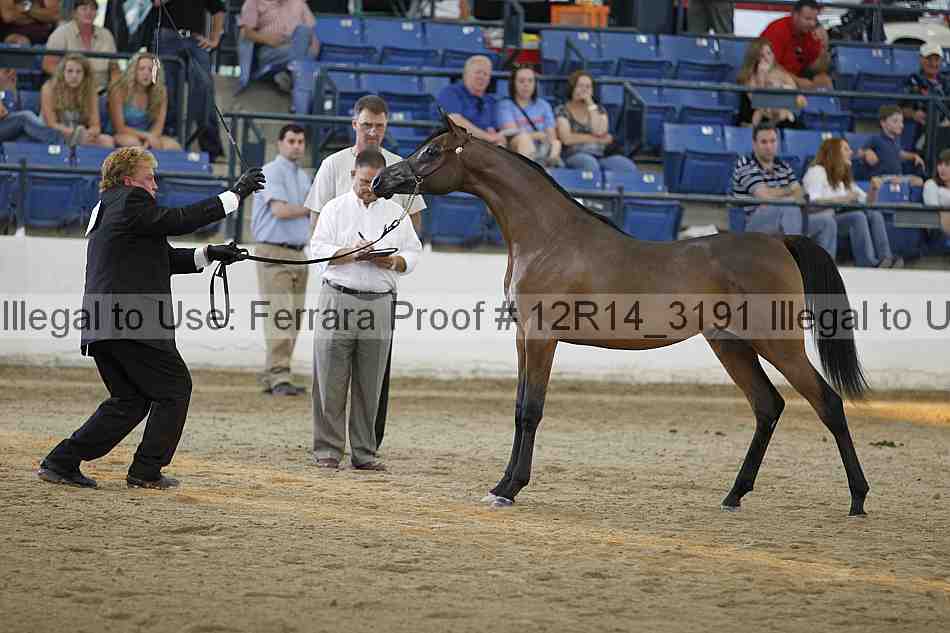 Proof Number 12r14_3191