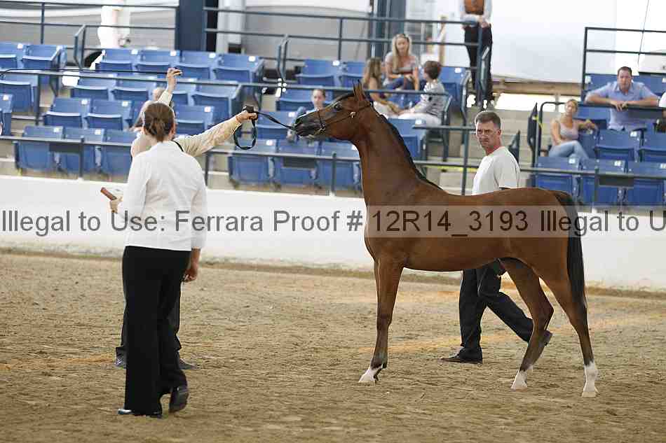Proof Number 12r14_3193