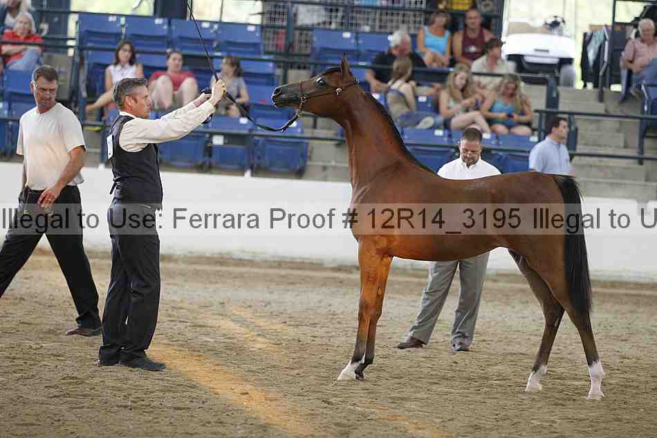 Proof Number 12r14_3195