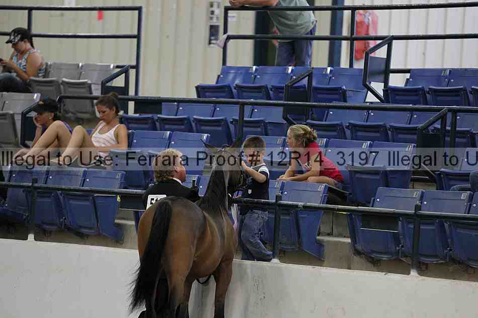 Proof Number 12r14_3197