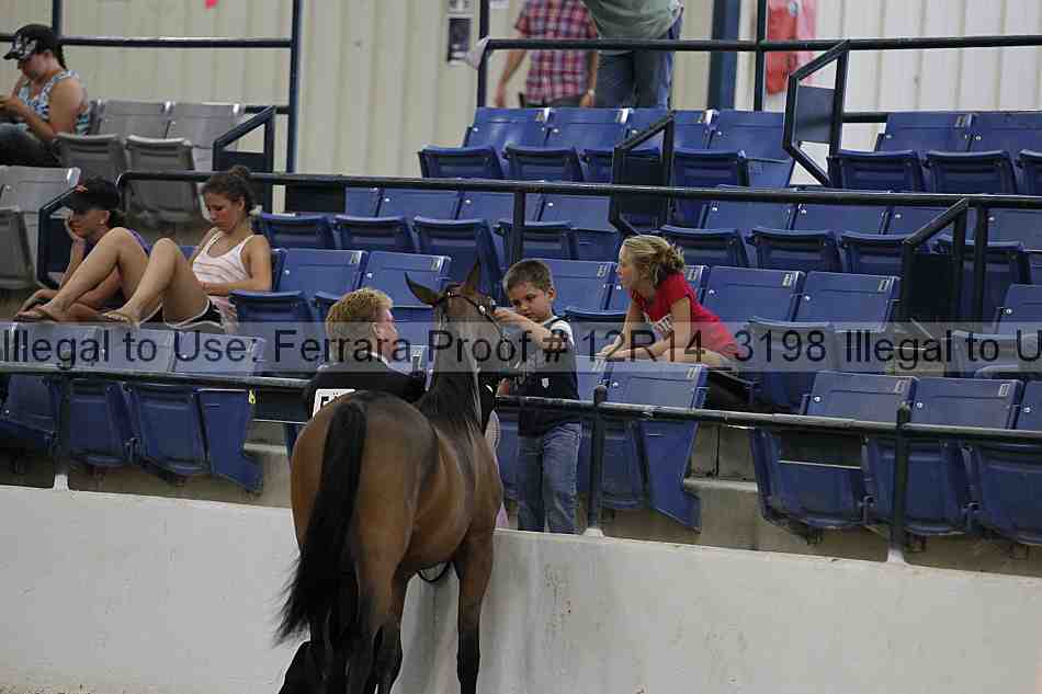 Proof Number 12r14_3198