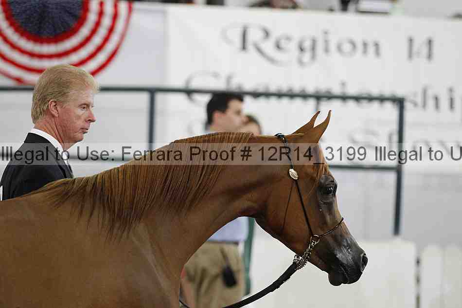 Proof Number 12r14_3199