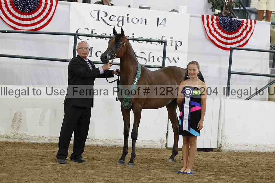 Proof Number 12r14_3204