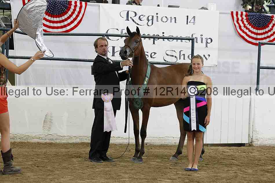 Proof Number 12r14_3208