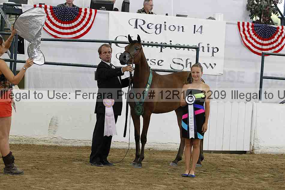 Proof Number 12r14_3209