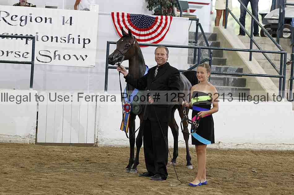 Proof Number 12r14_3213