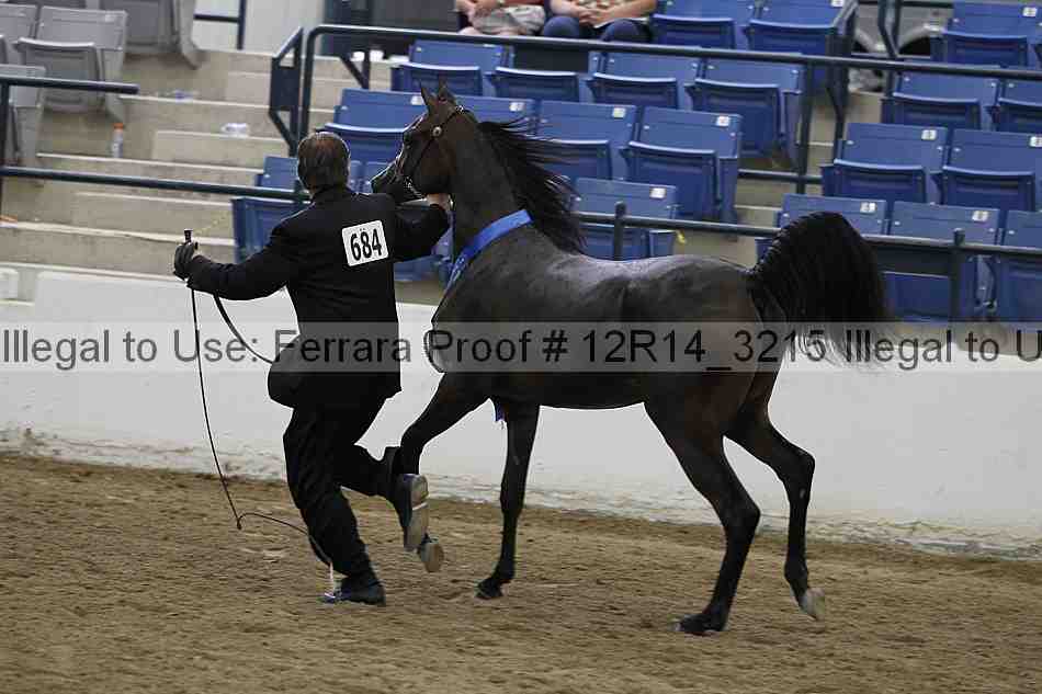 Proof Number 12r14_3215
