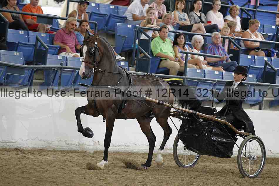 Proof Number 12r14_3217