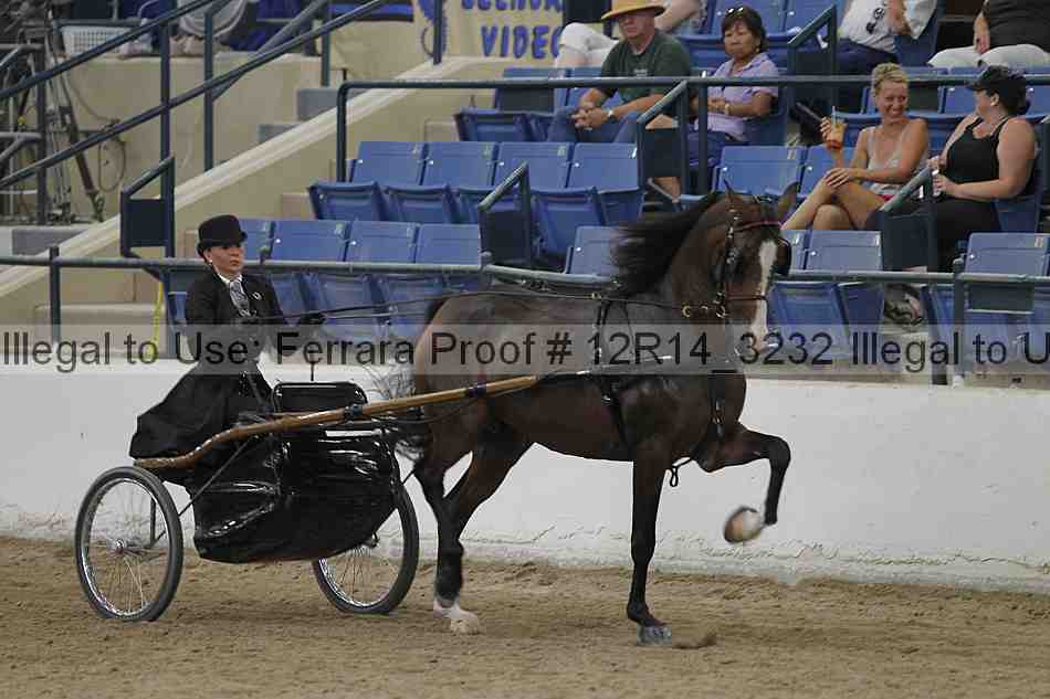 Proof Number 12r14_3232
