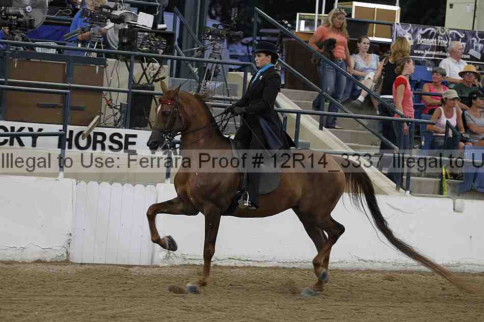 Proof Number 12r14_3337