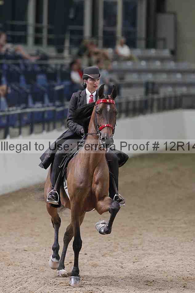 Proof Number 12r14_3340