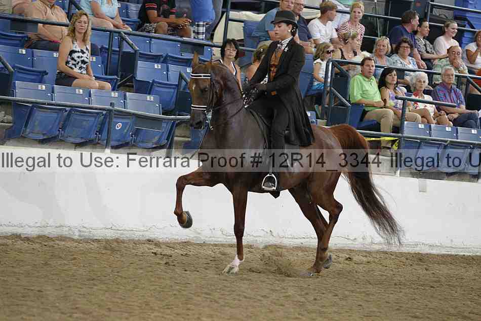 Proof Number 12r14_3344