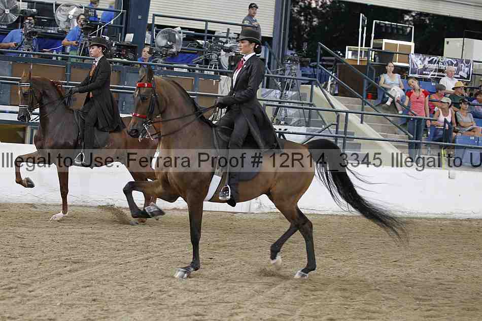 Proof Number 12r14_3345
