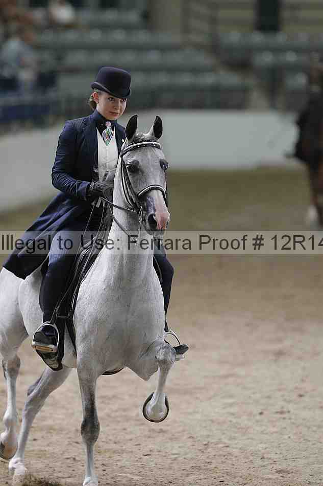 Proof Number 12r14_3346