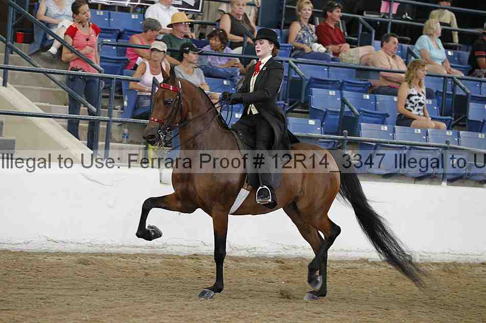 Proof Number 12r14_3347