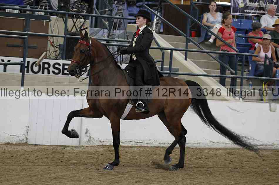 Proof Number 12r14_3348
