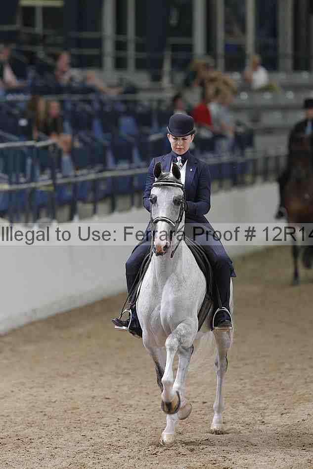 Proof Number 12r14_3350