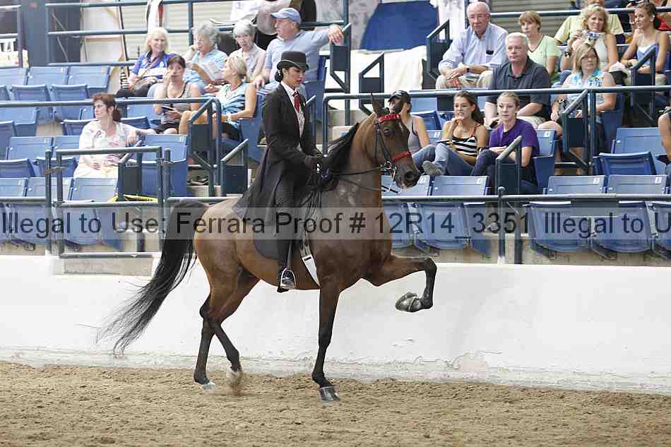 Proof Number 12r14_3351