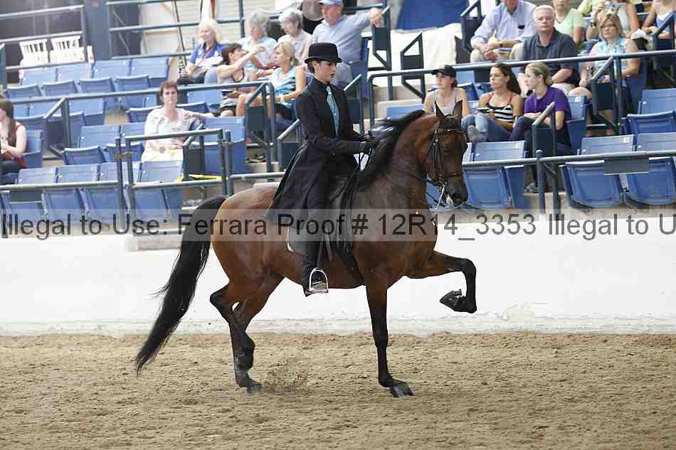 Proof Number 12r14_3353