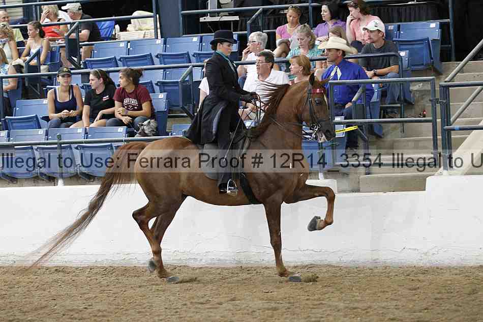Proof Number 12r14_3354