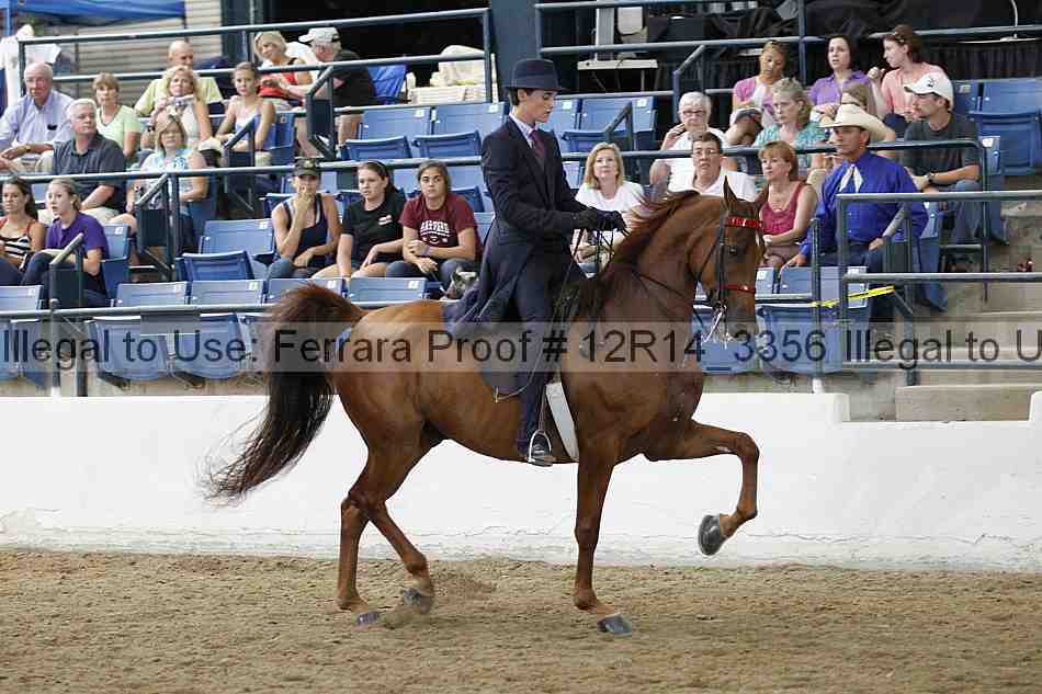 Proof Number 12r14_3356