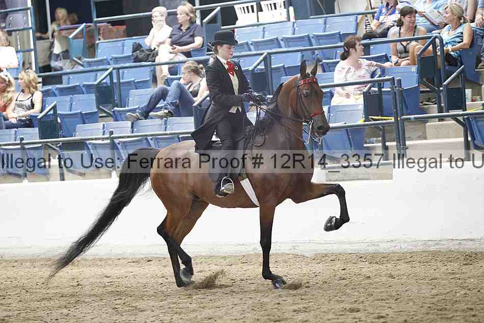 Proof Number 12r14_3357