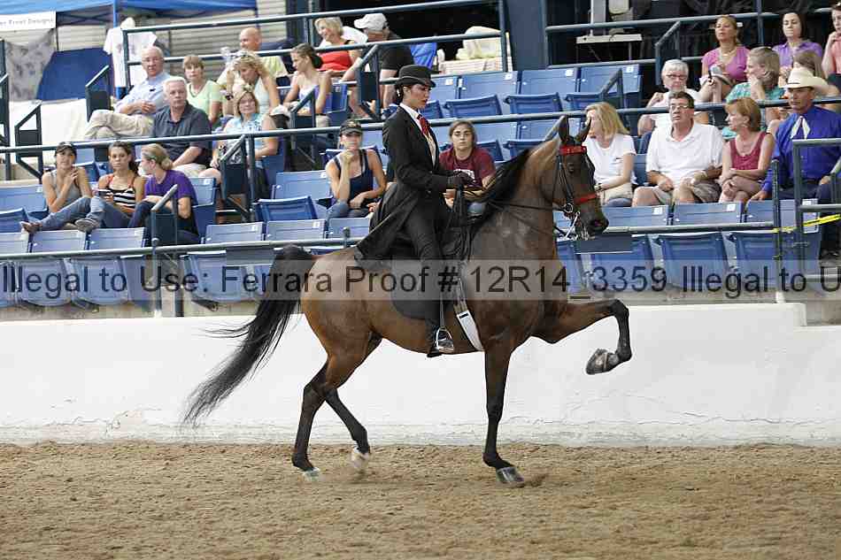 Proof Number 12r14_3359