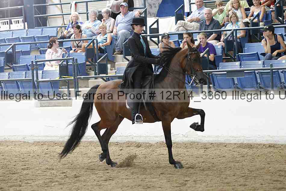 Proof Number 12r14_3360