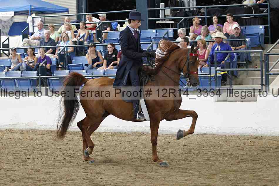 Proof Number 12r14_3364