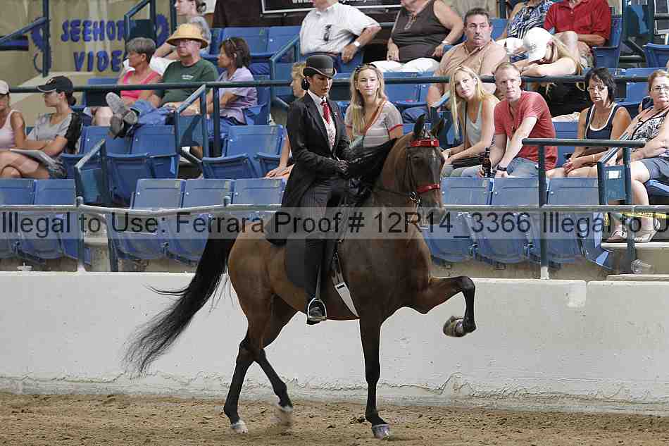 Proof Number 12r14_3366