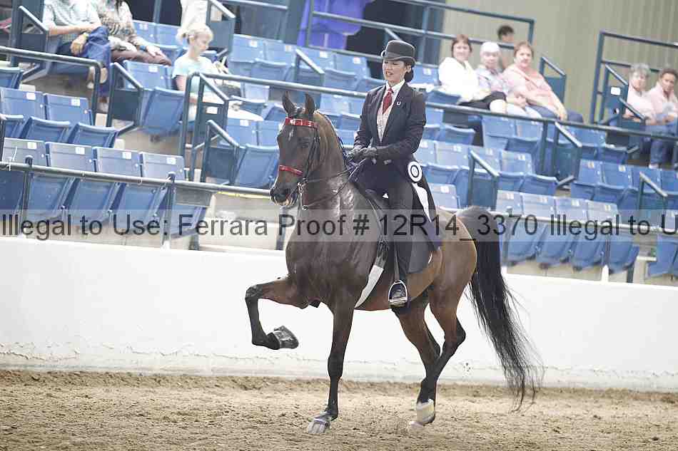 Proof Number 12r14_3370
