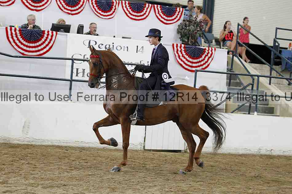 Proof Number 12r14_3374