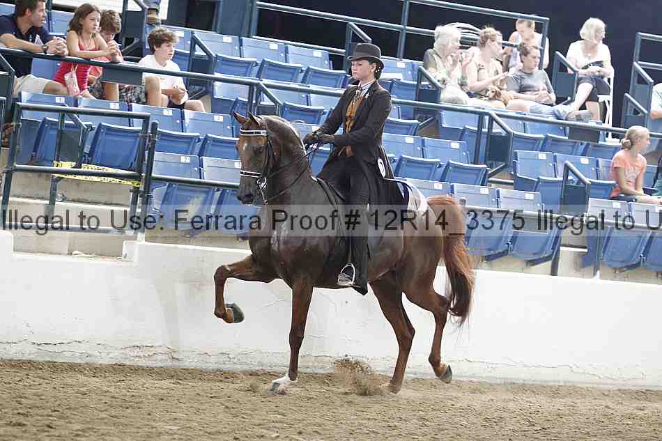 Proof Number 12r14_3375