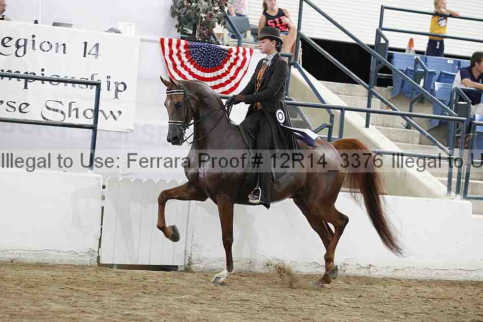 Proof Number 12r14_3376