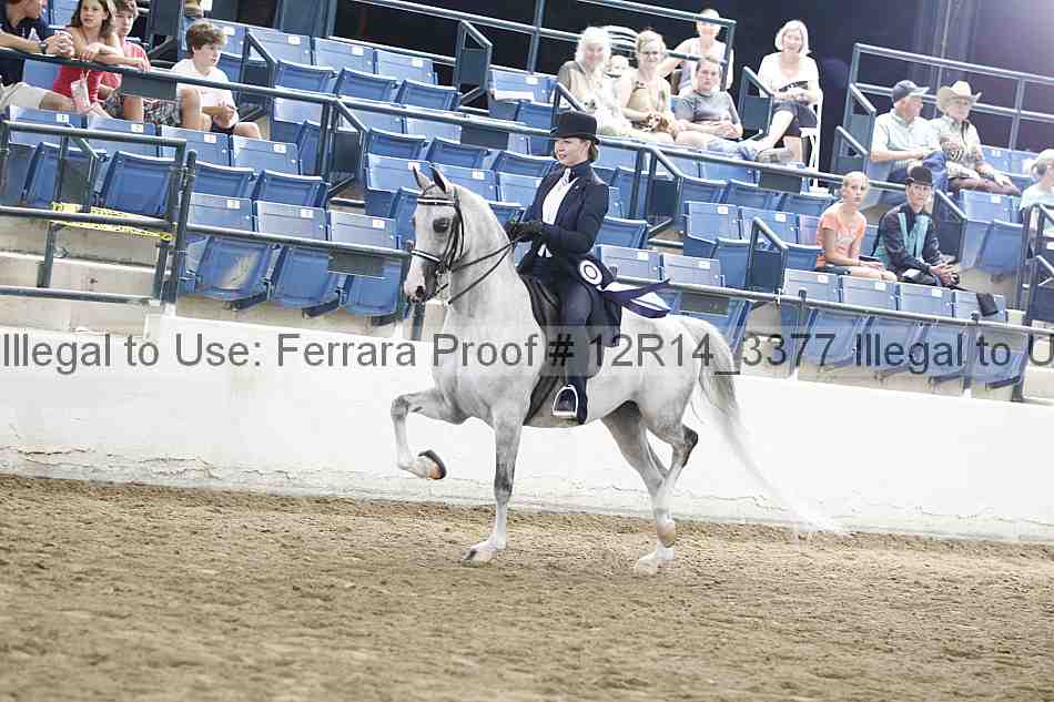 Proof Number 12r14_3377
