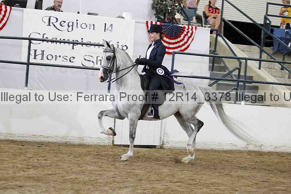 Proof Number 12r14_3378