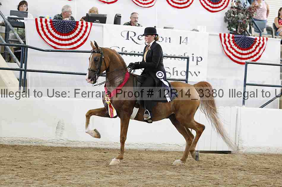 Proof Number 12r14_3380