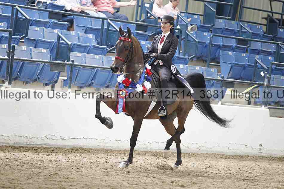 Proof Number 12r14_3381
