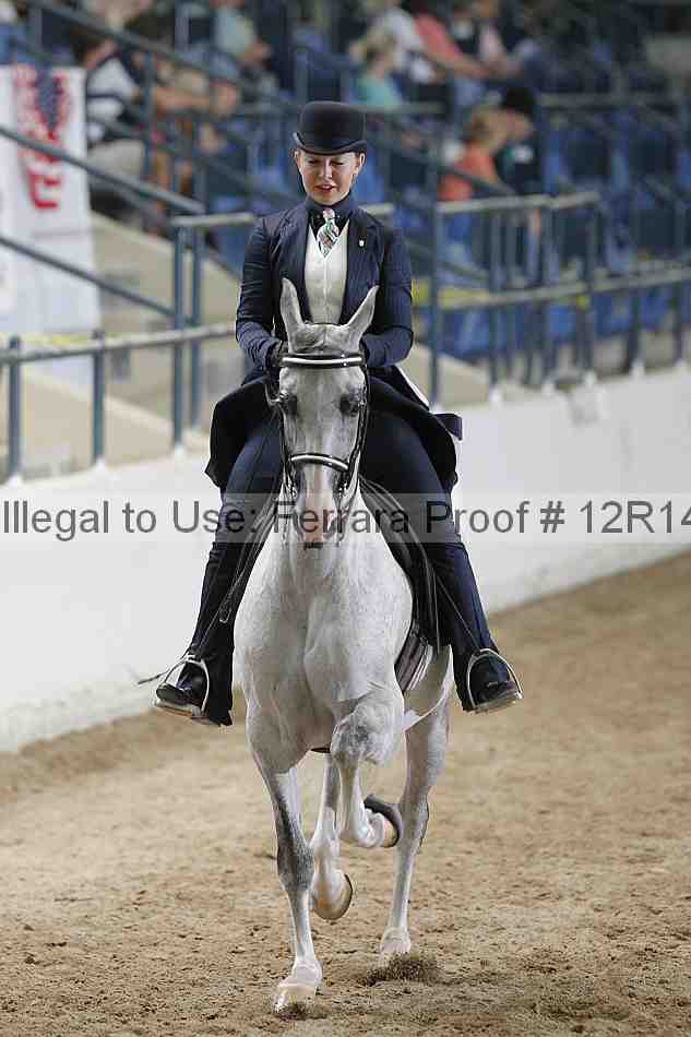 Proof Number 12r14_3384